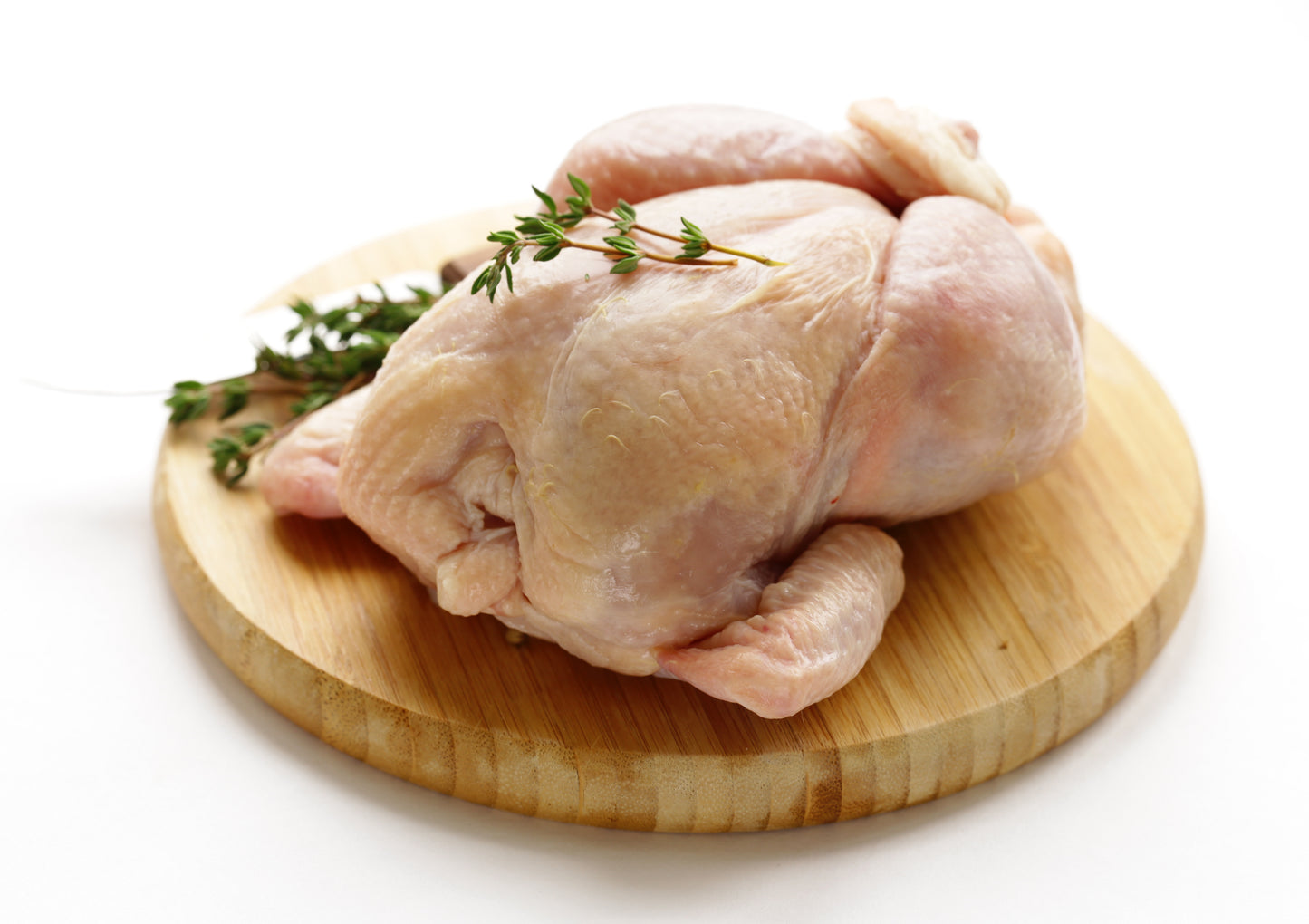 Regular Chicken
